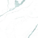 Bianco Statuario Venato